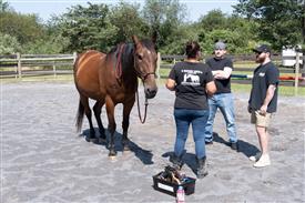 LR-WRF 08022025-Retreat-3091